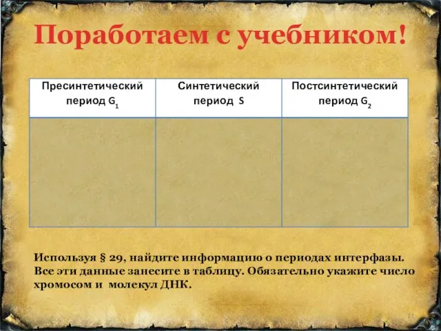 Используя § 29, найдите информацию о периодах интерфазы. Все эти данные