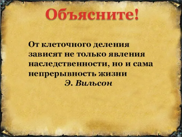 От клеточного деления зависят не только явления наследственности, но и сама непрерывность жизни Э. Вильсон Объясните!