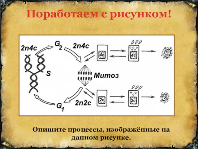 Опишите процессы, изображённые на данном рисунке. Поработаем с рисунком!