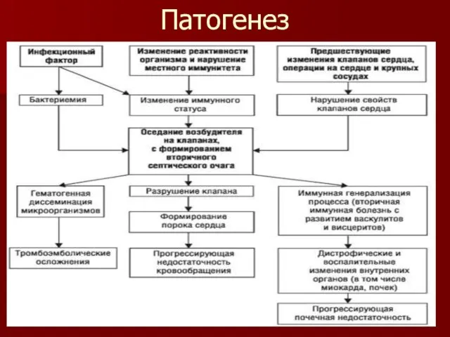 Патогенез