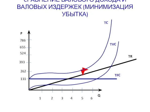 CРАВНЕНИЕ ВАЛОВОГО ДОХОДА И ВАЛОВЫХ ИЗДЕРЖЕК (МИНИМИЗАЦИЯ УБЫТКА) 131 262 393