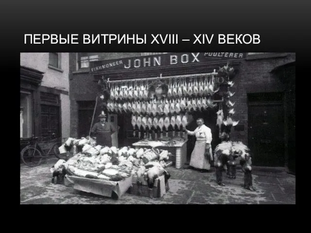 ПЕРВЫЕ ВИТРИНЫ XVIII – XIV ВЕКОВ