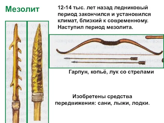 12-14 тыс. лет назад ледниковый период закончился и установился климат, близкий