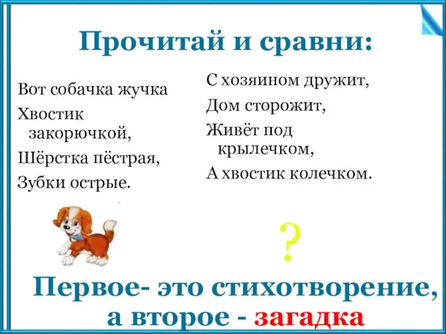 Прочитай и сравни: Вот собачка жучка Хвостик закорючкой, Шёрстка пёстрая, Зубки