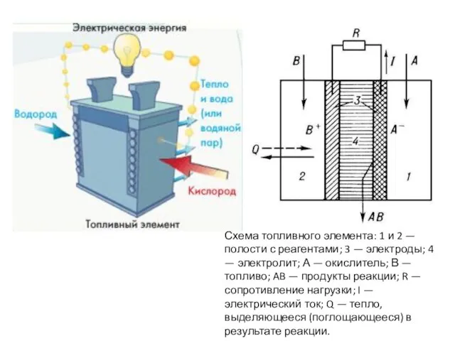 Схема топливного элемента: 1 и 2 — полости с реагентами; 3