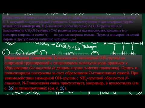 В циклической форме альдозы (в отличие от ациклической) имеется хиральный центр