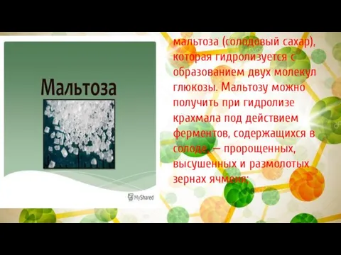 мальтоза (солодовый сахар), которая гидролизуется с образованием двух молекул глюкозы. Мальтозу