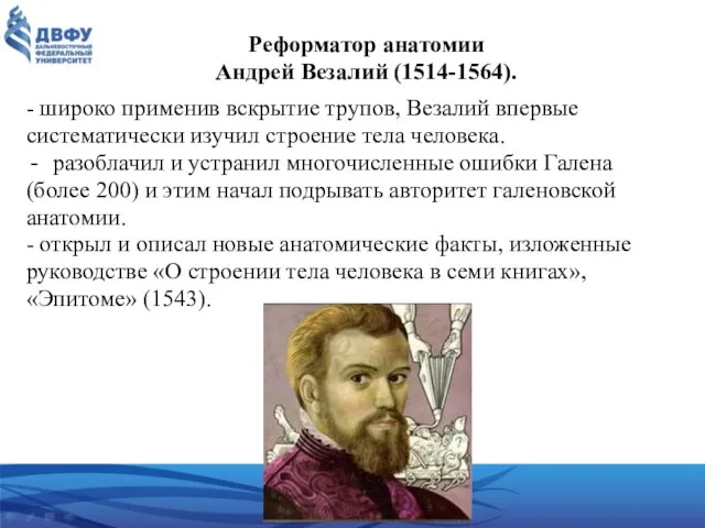 Реформатор анатомии Андрей Везалий (1514-1564). - широко применив вскрытие трупов, Везалий