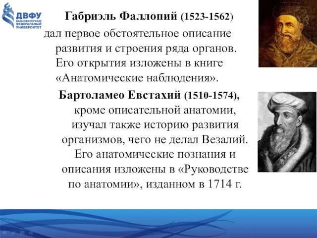 Габриэль Фаллопий (1523-1562) дал первое обстоятельное описание развития и строения ряда