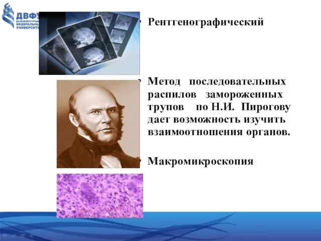 Рентгенографический Метод последовательных распилов замороженных трупов по Н.И. Пирогову дает возможность изучить взаимоотношения органов. Макромикроскопия