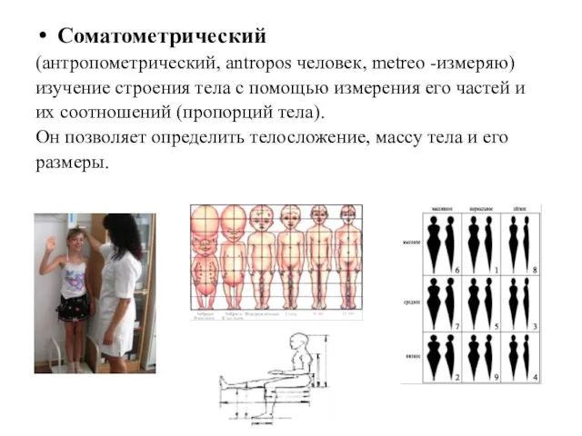 Соматометрический (антропометрический, antropos человек, metreo -измеряю) изучение строения тела с помощью