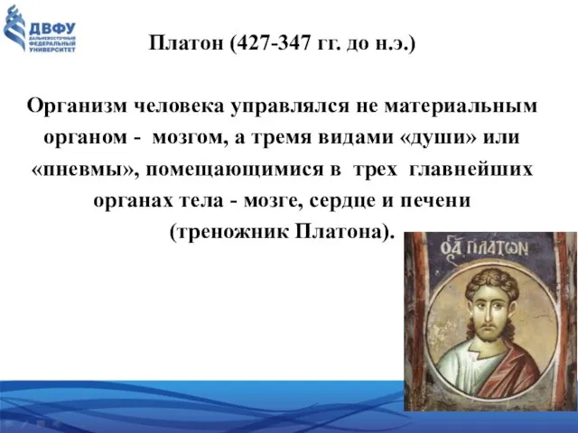 Платон (427-347 гг. до н.э.) Организм человека управлялся не материальным органом