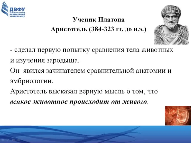 Ученик Платона Аристотель (384-323 гг. до н.э.) - сделал первую попытку