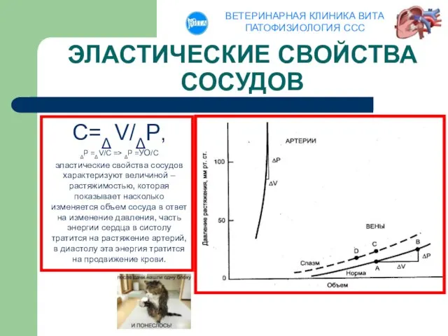 ЭЛАСТИЧЕСКИЕ СВОЙСТВА СОСУДОВ C=Δ V/ΔP, ΔP =Δ V/C => ΔP =УО/C