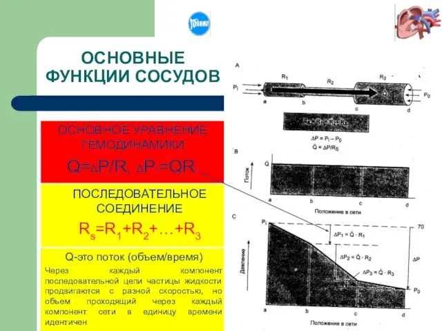 ОСНОВНЫЕ ФУНКЦИИ СОСУДОВ ПОСЛЕДОВАТЕЛЬНОЕ СОЕДИНЕНИЕ Rs=R1+R2+…+R3 ОСНОВНОЕ УРАВНЕНИЕ ГЕМОДИНАМИКИ Q=ΔP/R, ΔP1=QR1