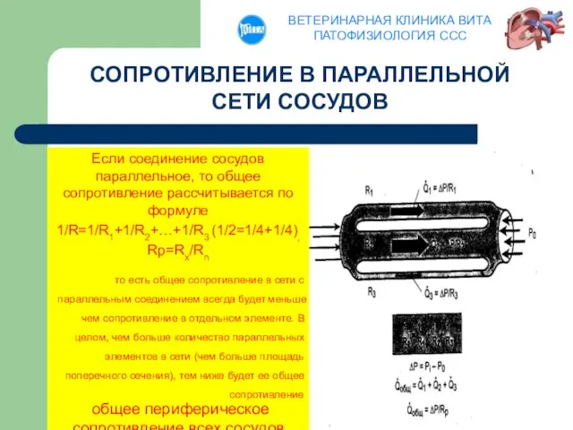 Если соединение сосудов параллельное, то общее сопротивление рассчитывается по формуле 1/R=1/R1+1/R2+…+1/R3