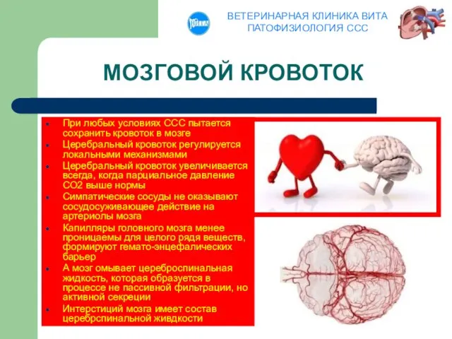 МОЗГОВОЙ КРОВОТОК При любых условиях ССС пытается сохранить кровоток в мозге