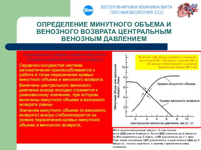 ОПРЕДЕЛЕНИЕ МИНУТНОГО ОБЪЕМА И ВЕНОЗНОГО ВОЗВРАТА ЦЕНТРАЛЬНЫМ ВЕНОЗНЫМ ДАВЛЕНИЕМ Совмещение графика