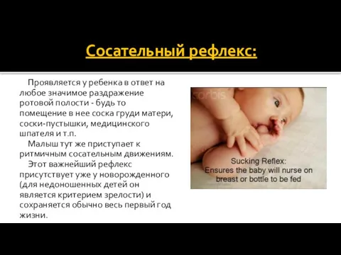 Сосательный рефлекс: Проявляется у ребенка в ответ на любое значимое раздражение