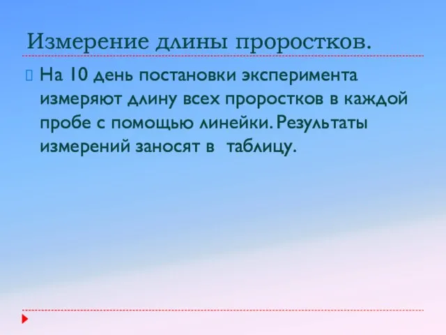 Измерение длины проростков. На 10 день постановки эксперимента измеряют длину всех