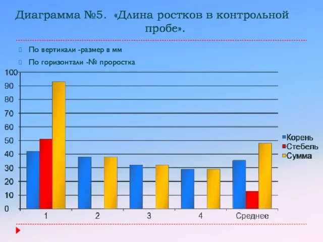 Диаграмма №5. «Длина ростков в контрольной пробе». По вертикали -размер в мм По горизонтали -№ проростка