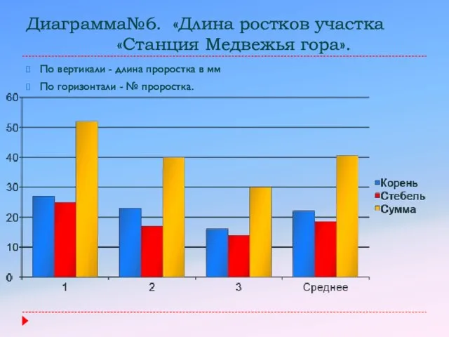 Диаграмма№6. «Длина ростков участка «Станция Медвежья гора». По вертикали - длина