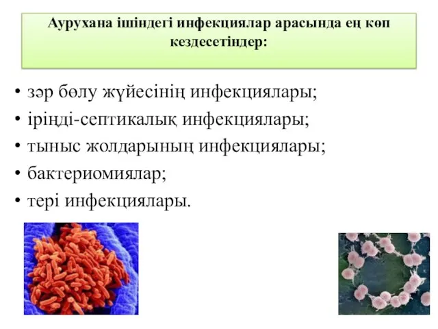 Аурухана ішіндегі инфекциялар арасында ең көп кездесетіндер: зәр бөлу жүйесінің инфекциялары;