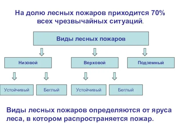 Виды лесных пожаров определяются от яруса леса, в котором распространяется пожар.