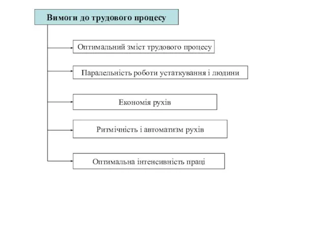 Вимоги до трудового процесу Оптимальний зміст трудового процесу Паралельність роботи устаткування