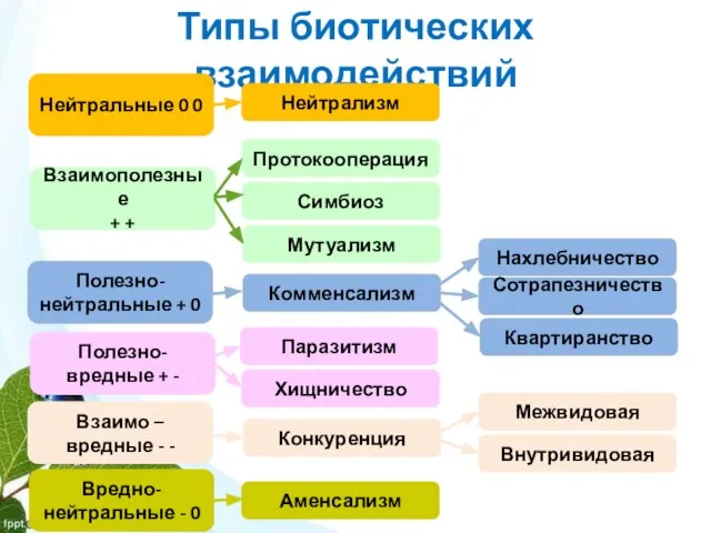 Типы биотических взаимодействий Нейтрализм Протокооперация Симбиоз Мутуализм Комменсализм Паразитизм Хищничество Конкуренция