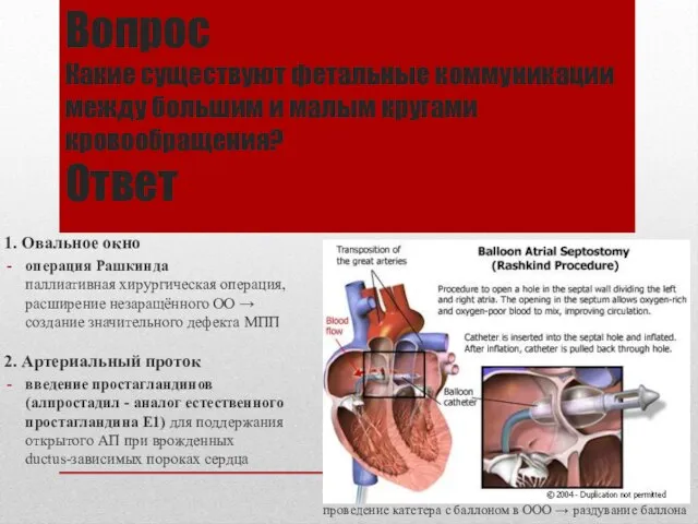 Вопрос Какие существуют фетальные коммуникации между большим и малым кругами кровообращения?