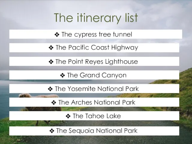 The itinerary list The cypress tree tunnel The Pacific Coast Highway