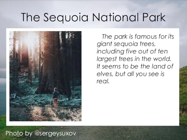 The Sequoia National Park Photo by @sergeysuxov The park is famous