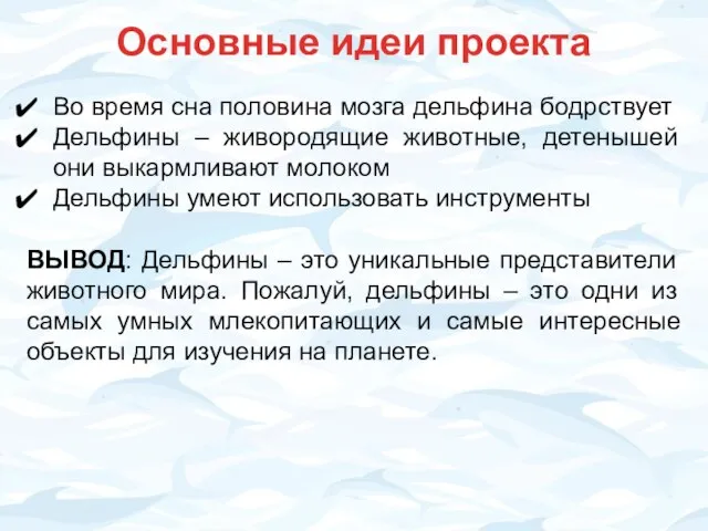 Основные идеи проекта Во время сна половина мозга дельфина бодрствует Дельфины