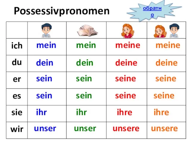 Possessivpronomen mein unser dein sein sein ihr mein dein sein sein