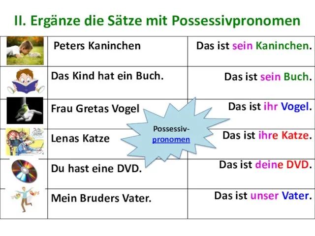 II. Ergänze die Sätze mit Possessivpronomen Das ist sein Kaninchen. Das