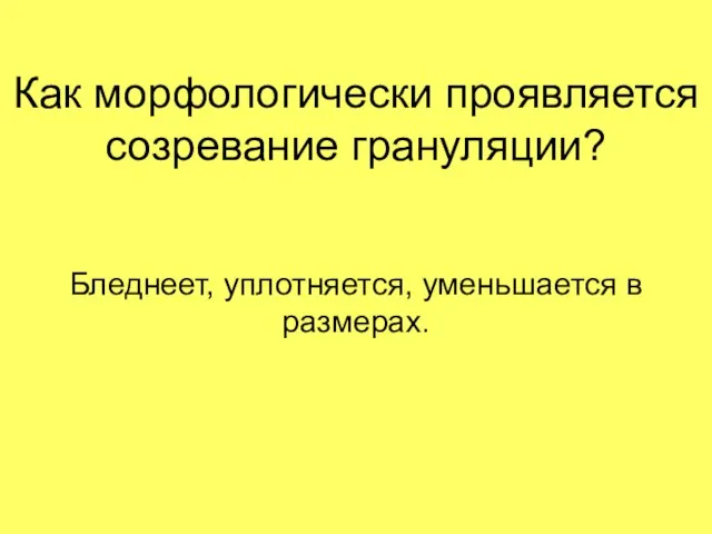 Как морфологически проявляется созревание грануляции? Бледнеет, уплотняется, уменьшается в размерах.