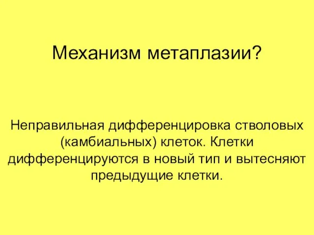 Механизм метаплазии? Неправильная дифференцировка стволовых (камбиальных) клеток. Клетки дифференцируются в новый тип и вытесняют предыдущие клетки.