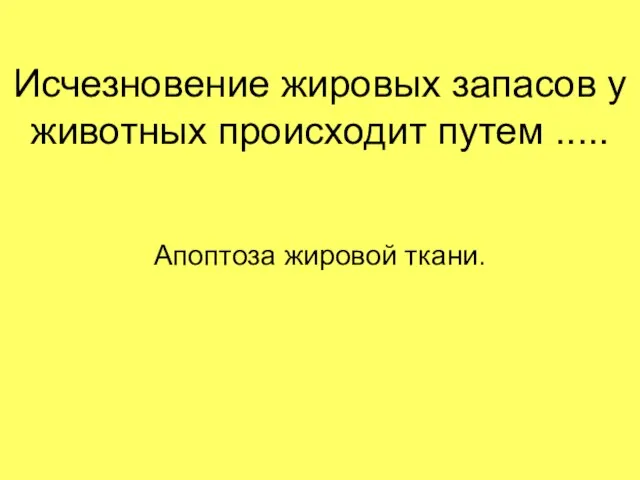 Исчезновение жировых запасов у животных происходит путем ..... Апоптоза жировой ткани.