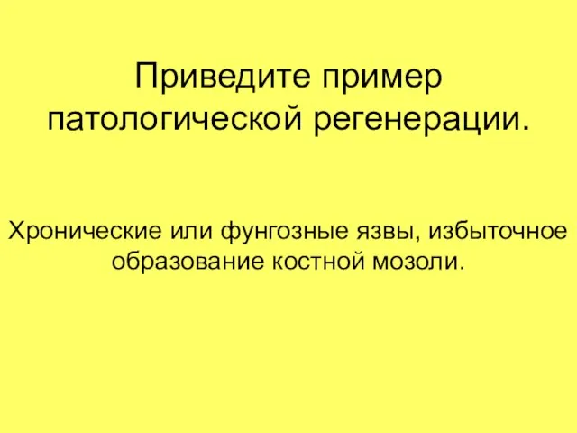 Приведите пример патологической регенерации. Хронические или фунгозные язвы, избыточное образование костной мозоли.