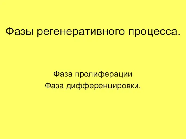 Фазы регенеративного процесса. Фаза пролиферации Фаза дифференцировки.