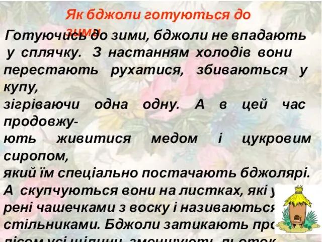 Як бджоли готуються до зими Готуючись до зими, бджоли не впадають