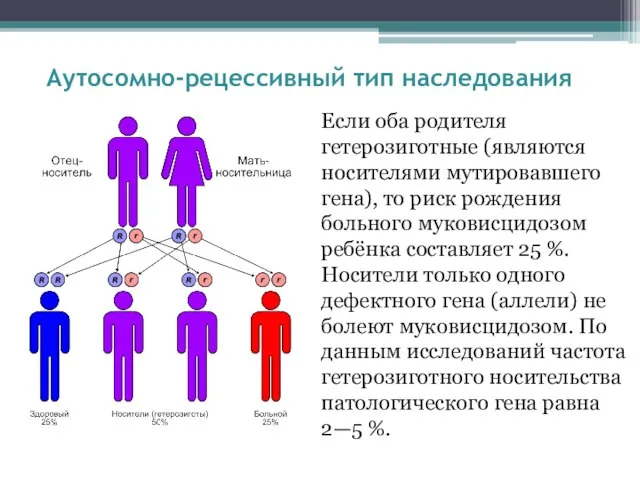 Аутосомно-рецессивный тип наследования Если оба родителя гетерозиготные (являются носителями мутировавшего гена),