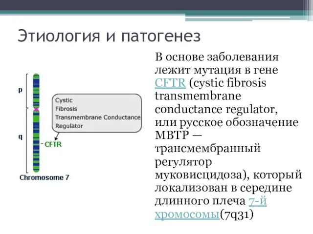 Этиология и патогенез В основе заболевания лежит мутация в гене CFTR