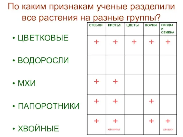 По каким признакам ученые разделили все растения на разные группы? ЦВЕТКОВЫЕ ВОДОРОСЛИ МХИ ПАПОРОТНИКИ ХВОЙНЫЕ