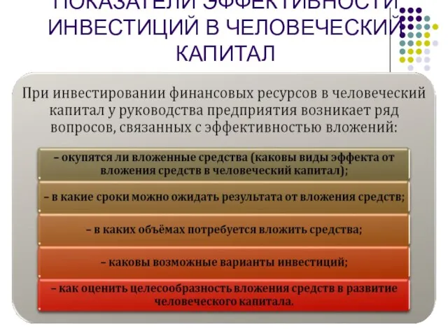 ПОКАЗАТЕЛИ ЭФФЕКТИВНОСТИ ИНВЕСТИЦИЙ В ЧЕЛОВЕЧЕСКИЙ КАПИТАЛ