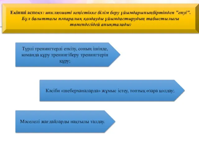 Екінші аспект: инклюзивті кеңістікке білім беру ұйымдарыныңбіртіндеп "енуі". Бұл бағыттағы пәнаралық