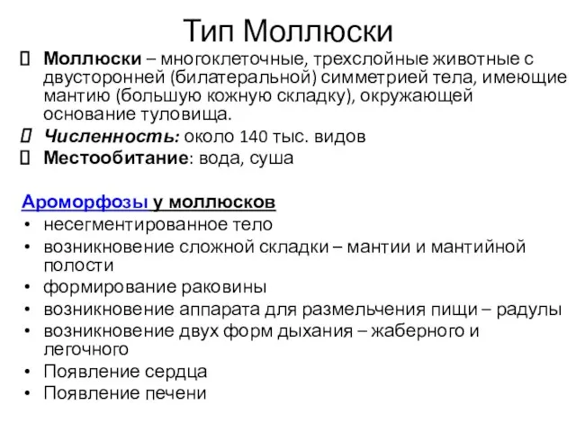 Тип Моллюски Моллюски – многоклеточные, трехслойные животные с двусторонней (билатеральной) симметрией