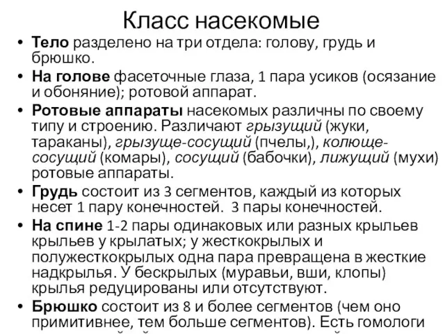 Класс насекомые Тело разделено на три отдела: голову, грудь и брюшко.