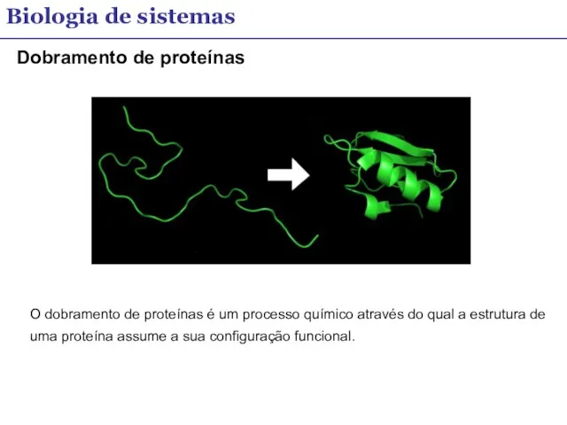 Biologia de sistemas Dobramento de proteínas O dobramento de proteínas é